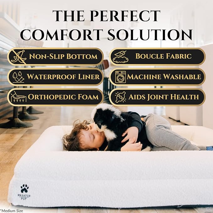 Luxury Boucle Fabric Orthopedic Dog Bed with Memory Foam | Breathable Comfort and Washable Dog Couch Bed with Waterproof Liner & Cover | Sofa Beds for Medium Dogs - Bone 37"x30"x7.7"