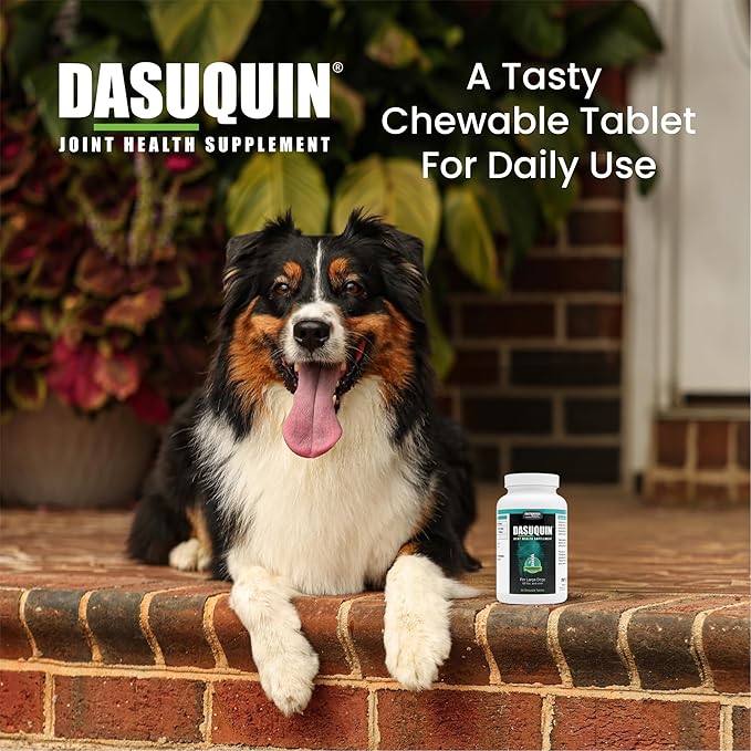 Nutramax Dasuquin for Large Dogs, Joint Health Supplement, Contains Glucosamine for Dogs, Plus Chondroitin, ASU and More, Supports Healthy Joints, Chewable Tablets, 84 Count
