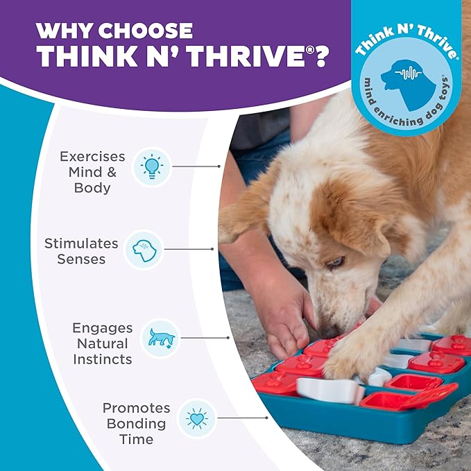 Outward Hound by Nina Ottosson Dog Brick Treat Puzzle Enrichment Toy, Level 2 Intermediate Game, Blue