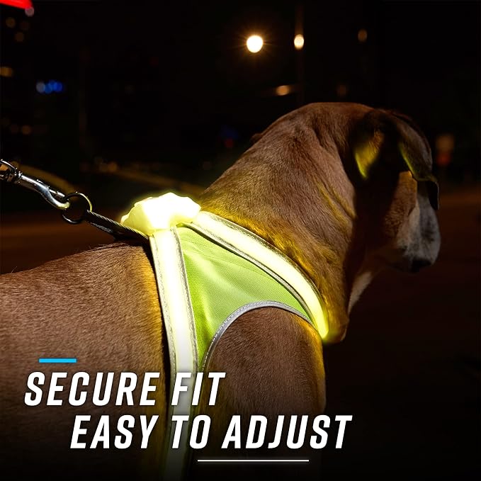 Noxgear LightHound – Revolutionary Illuminated and Reflective Harness for Dogs Including Multicolored LED Fiber Optics (USB Rechargeable, Adjustable, Lightweight, Rainproof) (X-Large)