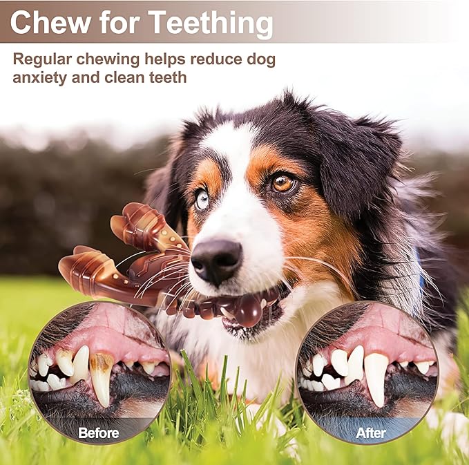 KXK Indestructible Dog Toys for Aggressive Chewers, Chew Toys for Large Medium Breed, Tough Dog Toys with Real Beef Flavor, Durable Nylon Teething Chew Toys for Large Medium Small