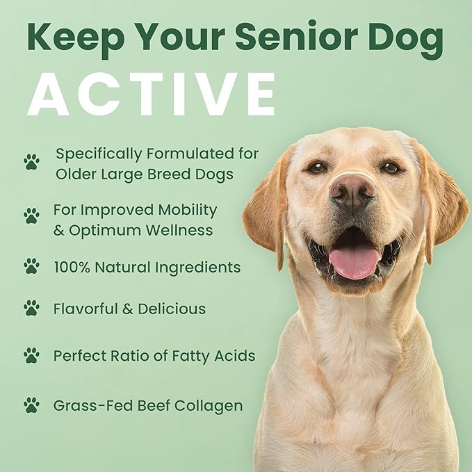 Veterinary Naturals Hemp & HIPS Joint Supplement for Dogs - 60 Soft Chews for Dog Hip and Joint Supplement with Glucosamine for Dogs, MSM, & Turmeric (Beef & Bacon)