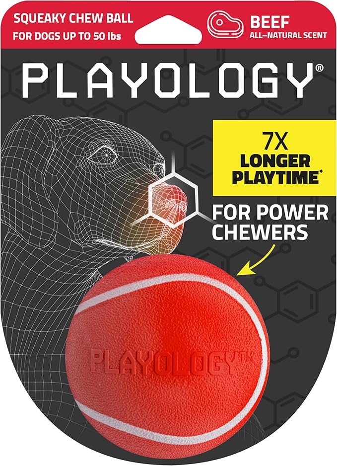 Playology Squeaky Dog Toy | Durable Rubber Interactive Dog Ball | Beef Scented Fetch Ball for Medium Dogs | Floating Dog Toy Made from Non Toxic Materials
