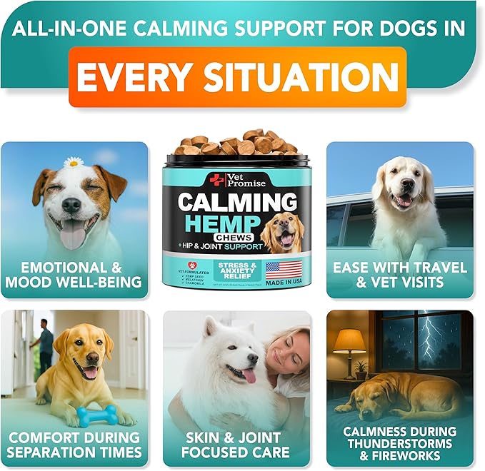 Advanced Calming Chews for Dogs - Hemp Dog Calming Chews - Anxiety Relief with Melatonin - Stress & Separation Anxiety - Sleep Aid + Hip and Joint Supplement Support - Made in USA - 70 Treats