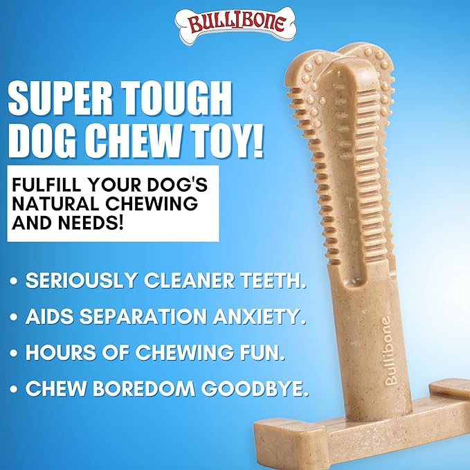 Bullibone SuperBrush: Dog Teeth Cleaning Brushing Toothbrush Stick - Long Lasting Nylon Apple Cinnamon Chew Toy for Oral Care and Dental Health