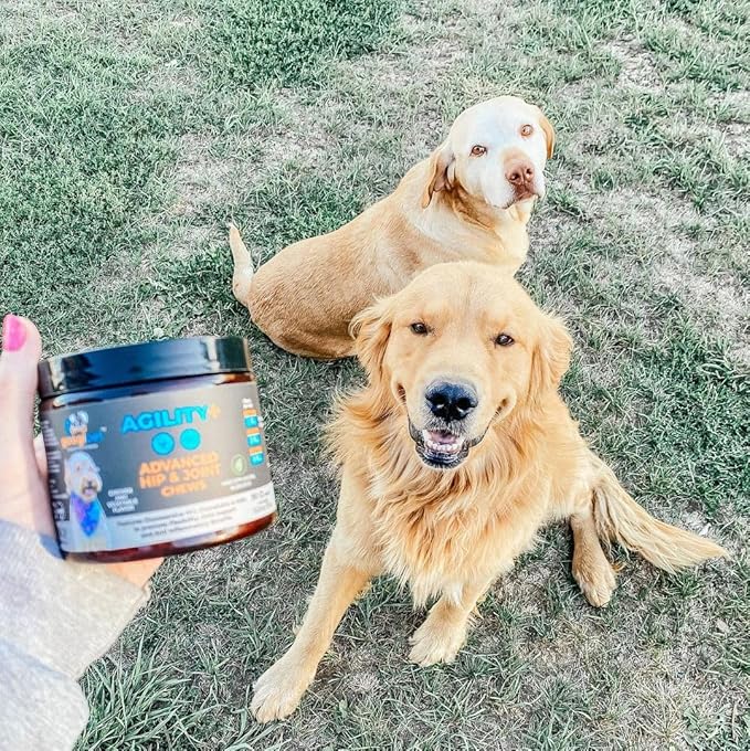 Googipet Hip and Joint Supplement for Dogs - Glucosamine for Dogs – Soft Chews w/Green Lipped Mussels, Turmeric, & Collagen for Arthritis & Mobility for All Ages & Breeds