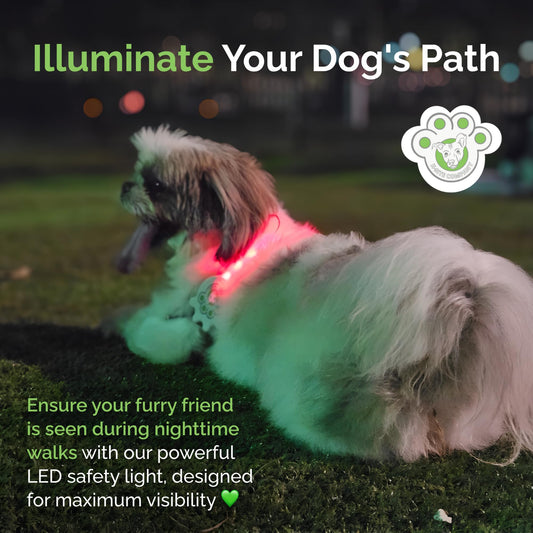 Better Than Light up Dog Collar for Small Dogs, LED Dog Collar Rechargeable, Dog Safety Device With An Unique Belt-Style Design