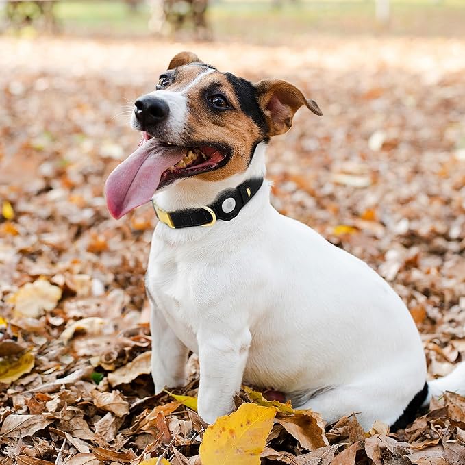 Leather Airtag Dog Collar - Soft Tracking Dog Collar with Apple AirTag Holder and Metal Buckle - Safety GPS Pet Collars for Small Medium Large Dogs Puppy Pink Red (Black, XS, 9"-12" Neck Fit)