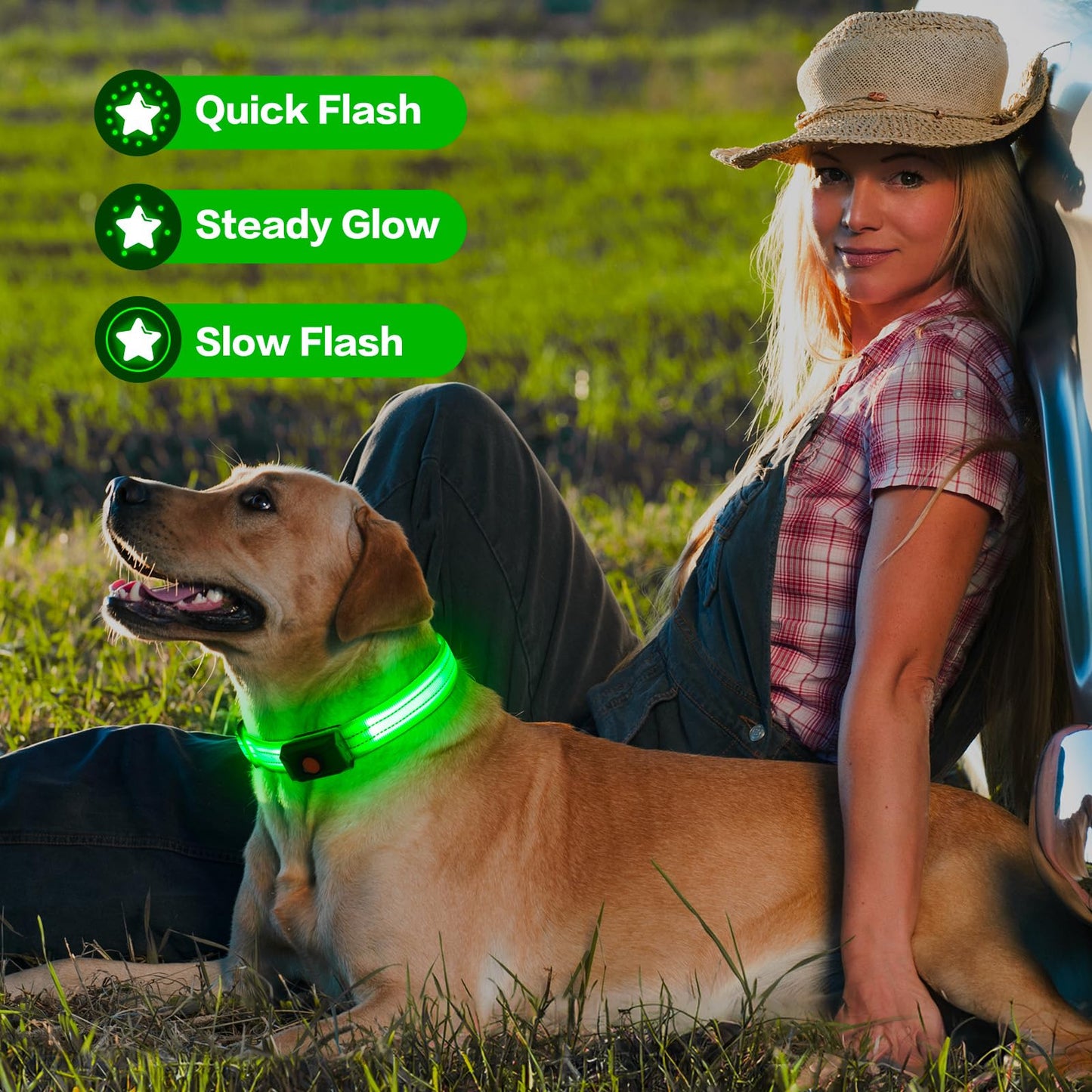 Light Up Dog Collar for Night Walking Flashing, LED Dog Collar Light Rechargeable Reflective Dog Collar Water-Resistant Adjustable Size Dog Collars for Medium Dogs