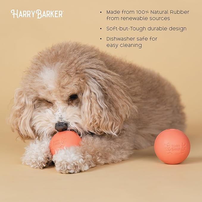 Harry Barker Rubber Balls and Rubber Chew Stick for Dogs