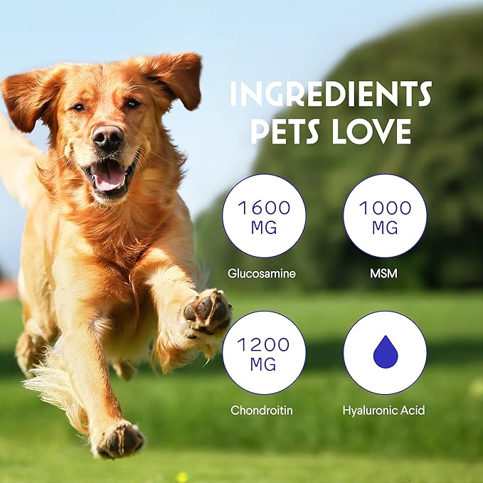 Premium Liquid Glucosamine for Dogs Strength Joint Support, Flexibility, Cartilage & Mobility - Hip and Joint Supplement with Chondroitin, MSM, Collagen & Hyaluronic Acid (16 Oz)