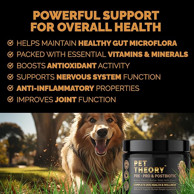 Probiotics for Dogs. Dog Digestive Health-Pre Pro and Postbiotic Combination-Pet Supplements for Gut Health-Supports Digestion, Boost Immunity-100CT Soft Chews