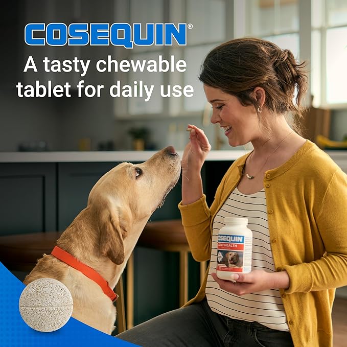 Nutramax Laboratories Cosequin Maximum Strength Joint Health Supplement for Dogs - With Glucosamine, Chondroitin, and MSM, 2 Pack, 264 Total Chewable Tablets