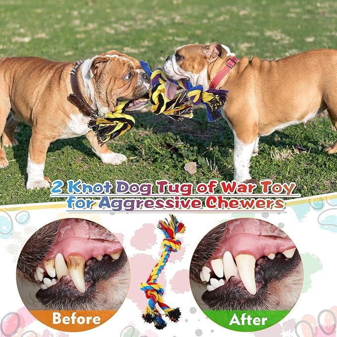 24 Pack Large Dog Rope Toys 10 Inch Chew Toys Bulk Natural Cotton Dog 2 Knot Dog Toy 2 Knots Chew Rope Toy Teething Rope Toys for Aggressive Chewers and Medium Dogs