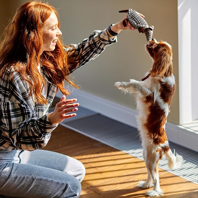 Hollypet Plush Dog Squeaky Toy Stuffed Armadillo Animal Pet Puppy Chew Toys with Clean Teeth for Small Medium Large All Breed Sizes Dogs, Gray, 8 in