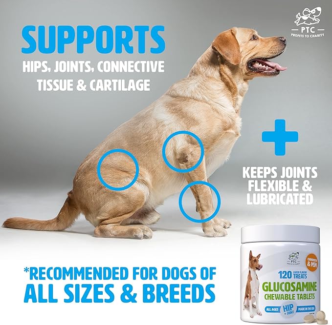 Glucosamine for Dogs with Chondroitin and MSM -Hip and Joint Supplement for Dog Mobility Support and Arthritis Pain Relief -120 Chewable Tablet Treats