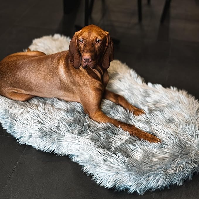 IHAPPYDOG Luxury Faux Fur Orthopedic Dog Bed, Memory Foam Dog Bed for Small, Medium, Large and XL Pets, Fluffy Pet Bed with Waterproof and Washable Cover (Grey, 50"x30")