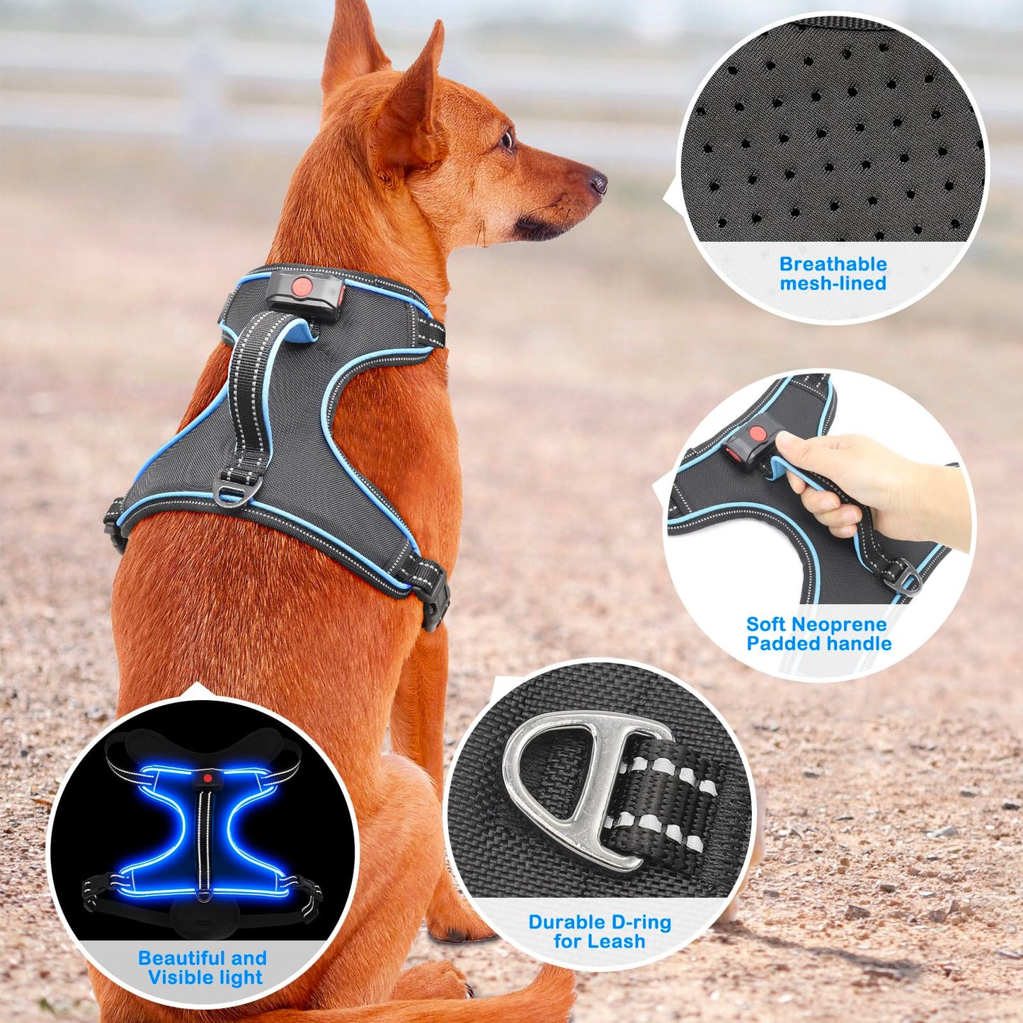 Vizbrite Light Up Dog Harness, No Pull LED Dog Harness with Handle, Rechargeable Lighted Safety Vest for Small Medium Large Dogs, Adjustable Soft Dog Lights for Night Walking