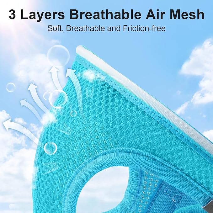 Light Up Dog Harness,Rechargeable LED Dog Harness for Small Medium Large Dogs,Reflective Lighted Safety Vest for Night Walking & Camping,Lightweight & Adjustable,Blue,XS