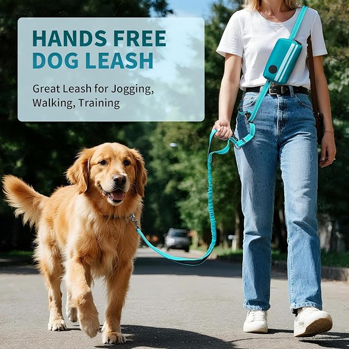 Hands Free Dog Leash with Removable Zipper Pouch, Dual Padded Handles and Durable Bungee for Walking, Jogging and Running Green