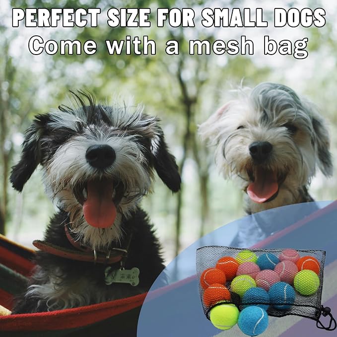 Magicorange Small Tennis Balls, 20 Pack 2 inch Tennis Balls for Dogs, Colorful Easy Catching Pet Dog Playing Ball with Mesh Bag for Easy Transport (Yellow, 2 inch)