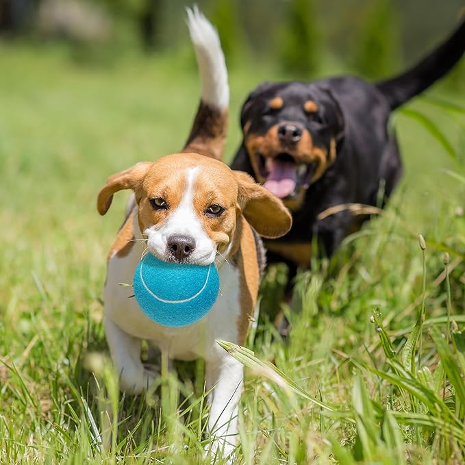 4 Pack Large Dog Tennis Balls, 4 inch Interactive Dog Toy Ball for Playing Training Sports Outdoor Indoor, Pet Toys Fetch Balls for Small, Medium, Large & Dogs