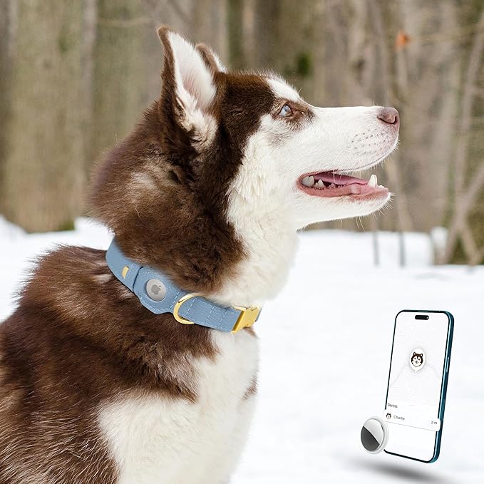 Leather Airtag Dog Collar - Soft Tracking Dog Collar with Apple AirTag Holder and Metal Buckle - Safety GPS Pet Collars for Small Medium Large Dogs Puppy Pink Red (Cornflower, XS, 9"-12" Neck Fit)