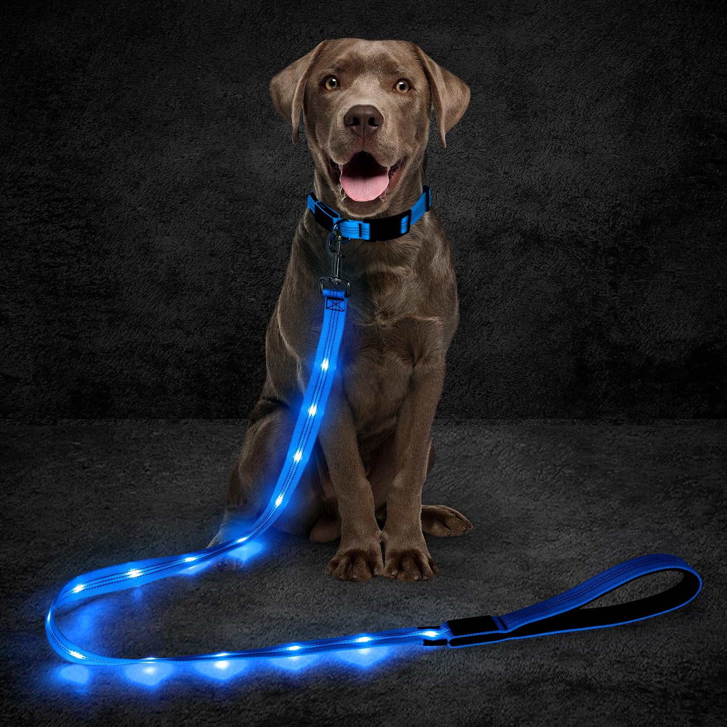 Light Up Dog Leash, 5 Ft LED Dog Lead Rechargeable Glowing Pet Leash with Soft Padded Handle, Safety Dog Lights for Night Walking (Blue)