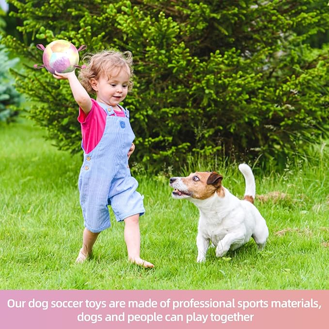 QDAN Dog Toys Soccer Ball with Straps, Durable Dog Balls for Tug of War, Puppy Birthday Gifts, Dogs Water Toy Small Dogs-Rainbow(5 Inch)