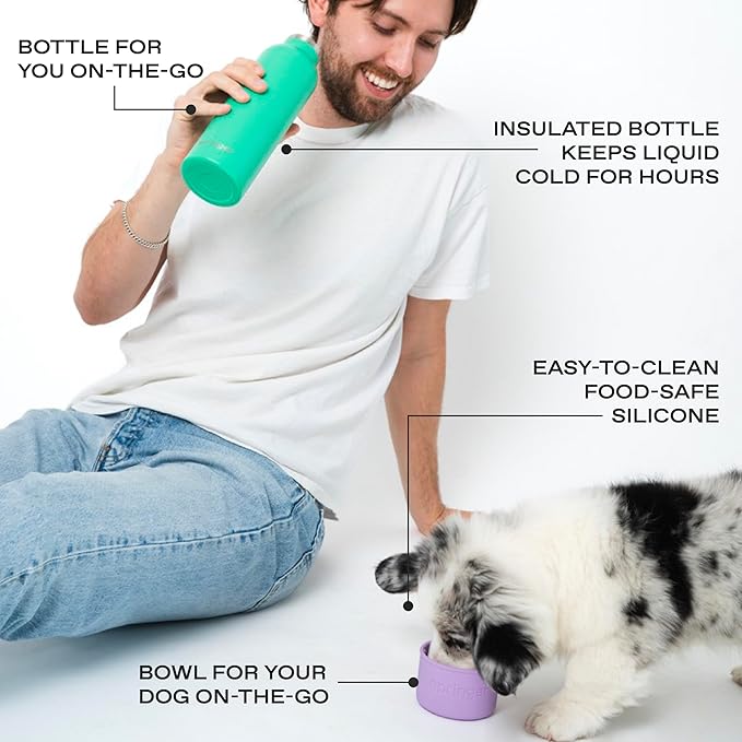 Springer Dog and Me 24oz Stainless Steel Insulated Water Bottle - Cold for 12+ Hours – Portable Dog Water Bottle with Integrated Travel Water Bowl for Dogs, Portable Dog Water Bottle – Lilac/Green