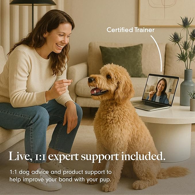 LAY LO Dog Enrichment Starter Pack: Treat Dispensing Toy, Slow Feeder Bowl & Lick Mat, and Snuffle Mat | Dishwasher Safe | Medical Grade Silicone | Non-Toxic | Includes Live Support from Dog Experts