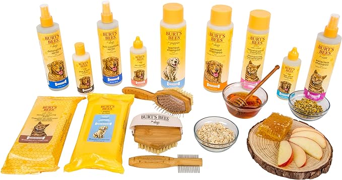 Burt's Bees for Pets Cat Dander Wipes with Colloidal Oat Flour, 98% Natural Origin Formulas, Cats Dandruff Remedy, Feline Cleansing Sheets for Allergy Relief, 3pk, 50ct