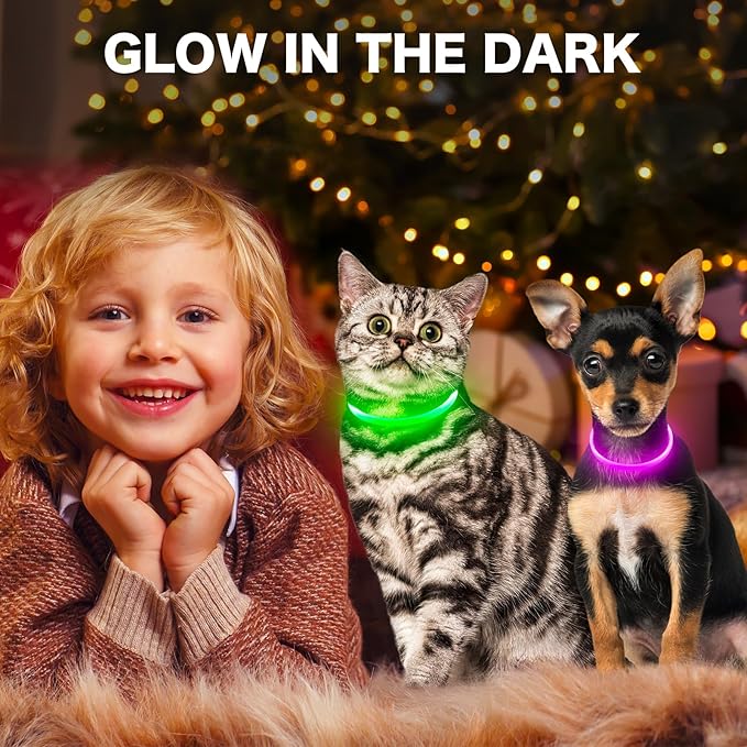 BSEEN Light Up Dog Collar - Rainproof Rechargeable LED Dog Collar - TPU Cuttable Glowing Pet Collar for Small Dogs& Cats - Puppy Safety Dog Lights for Night Walking (XS- Green 40cm)