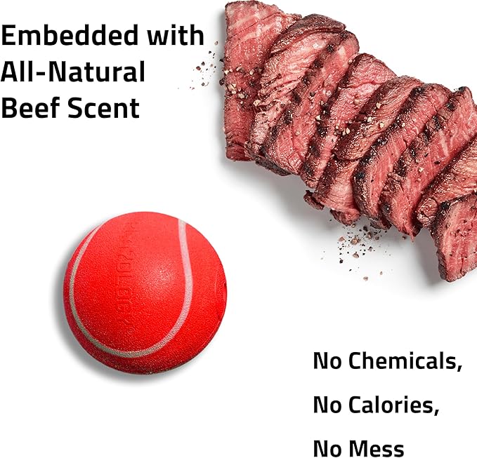 Playology Squeaky Dog Toy | Durable Rubber Interactive Dog Ball | Beef Scented Fetch Ball for Medium Dogs | Floating Dog Toy Made from Non Toxic Materials