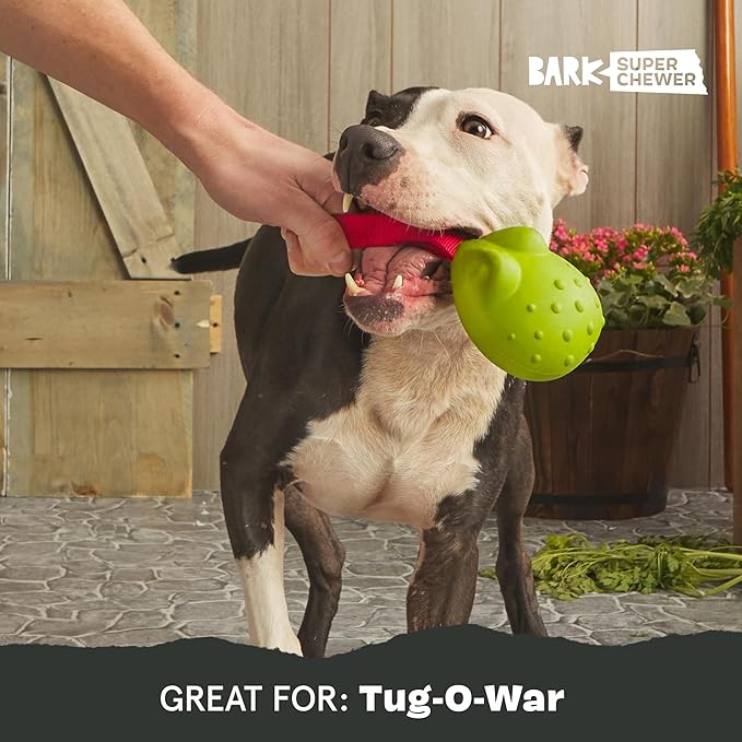 Barkbox Tug Tied Toad Dog Toy for Tough Chewers – Durable Rubber Design, Perfect for Tug-of-War