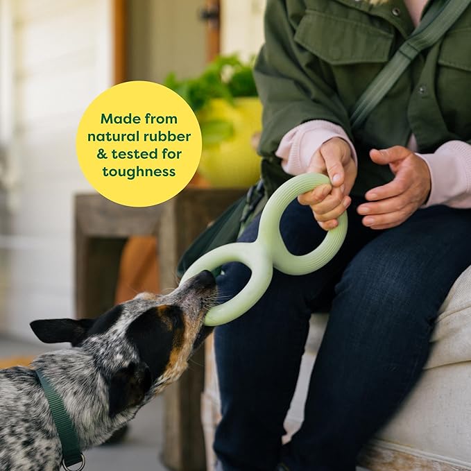 Earth Rated Tug of War Toy for Dogs and Puppies, Interactive Dog Pull Toys, Ergonomic Grip, Natural Rubber, Small, Green