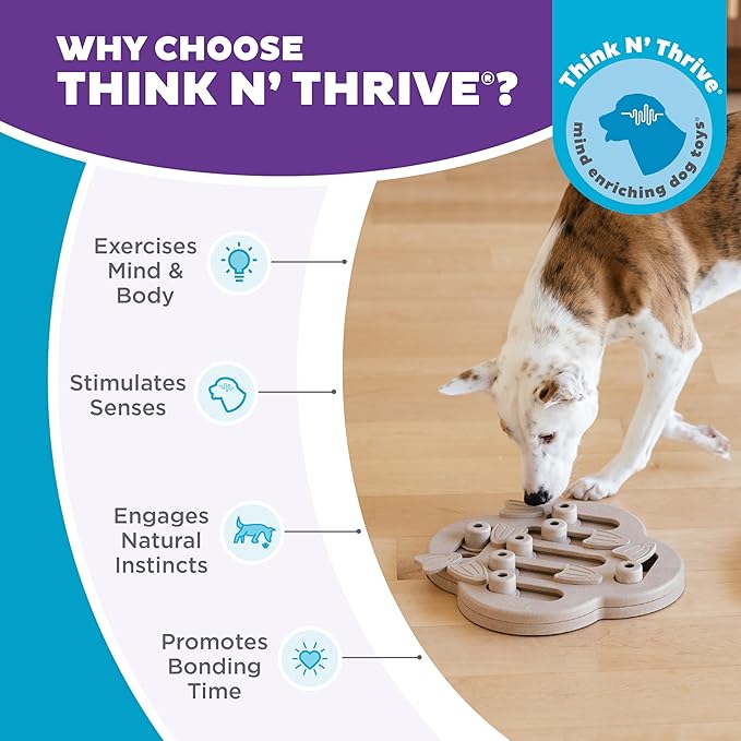 Outward Hound by Nina Ottosson Dog Hide N' Slide Treat Puzzle Enrichment Toy, Level 2 Intermediate, Tan, Composite