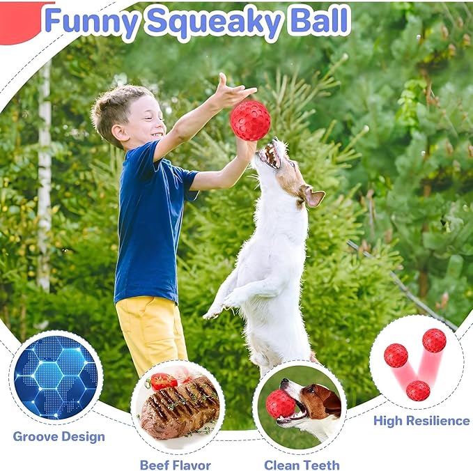 Squeaky Dog Balls, Indestructible Dog Toys for Aggressive Chewers Large/Medium Breed, Natural Rubber Interactive Chew Toys for Teeth Clean, Relieves Anxiety