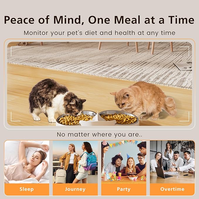 Automatic Cat Feeder with Camera, 6L WiFi Smart Pet Feeder with APP Control, 1080P HD Video, Voice Call, Motion Detection, Dual Power Supply, for Dogs Cats, Small-Pet (White, 6L)