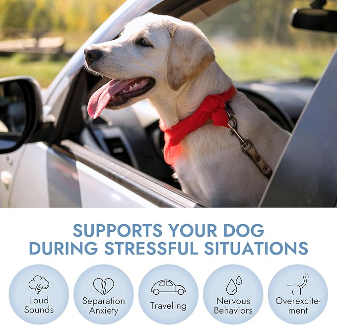 Pet Vet Calming Chews for Dogs – Dog Anxiety Relief (Beef Liver Flavor 60 Chews) – Stress Relief, Supplements for Hyperactive & Anxious Dogs – Dog Anxiety Bites for Relaxation, Pet Care Products