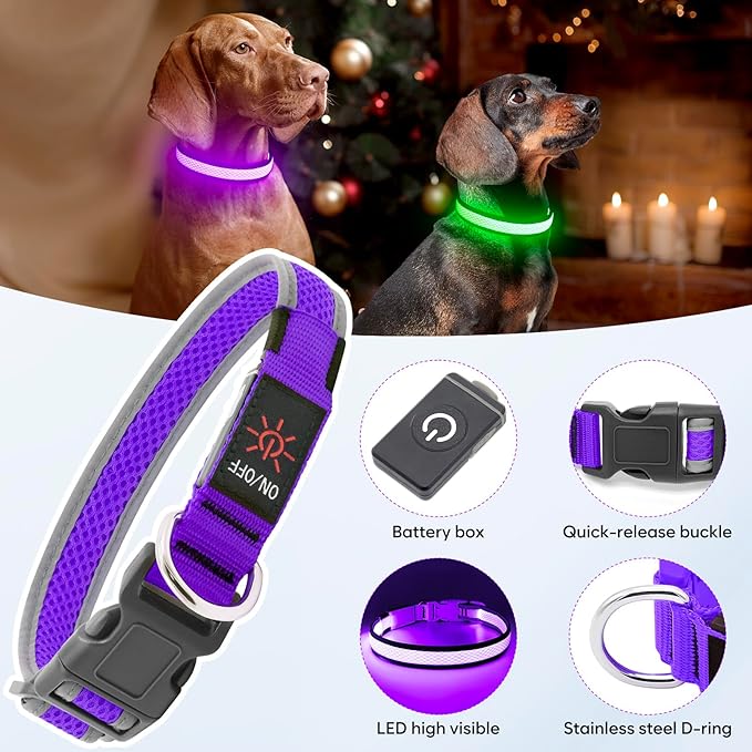 Flashseen LED Dog Collar, USB Rechargeable Light Up Dog Collar Lights, Adjustable Comfortable Soft Mesh Safety Pet Collar for Small, Medium, Large Dogs (Purple, Small)