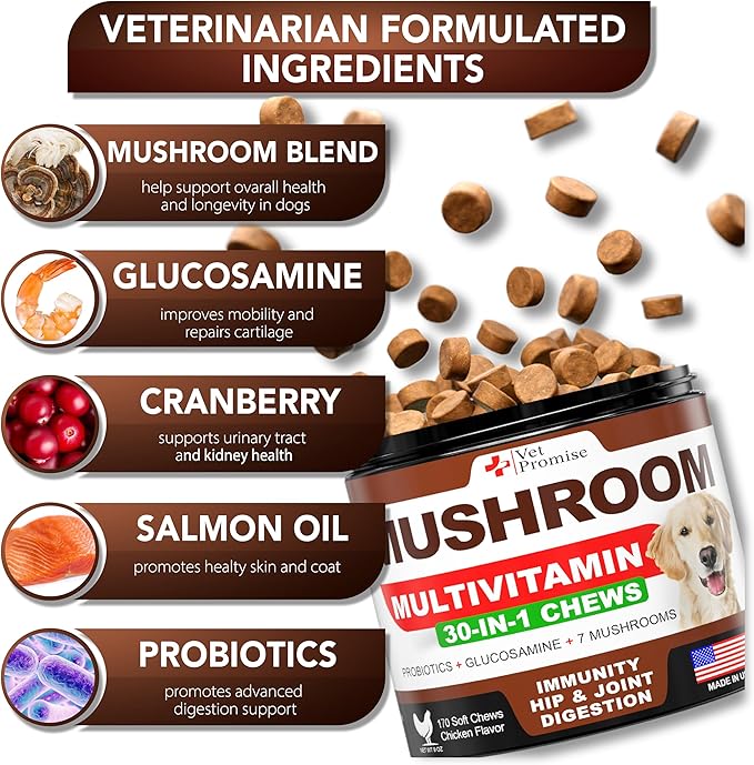 (2 Pack) Mushroom for Dogs - 340 Chews - Turkey Tail - Mushroom Supplement for Dogs - Lions Mane - Reishi - Immunity Support Multivitamin Vitamins - Joint Health - Energy - Gut - Skin - Made in USA