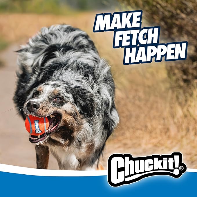Chuckit! Dog Ball Launcher - Sport 12" with Medium (2.5"), Dog Fetch Ball Thrower, For Dogs 20-60 Pounds, Made in USA