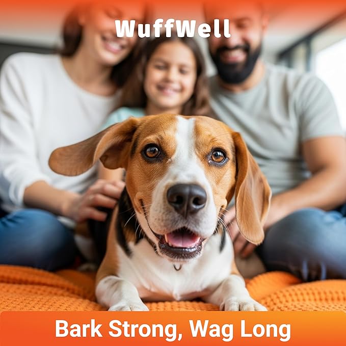 Hip and Joint Supplement for Dogs – Natural Ingredients with Chondroitin, MSM, Turmeric, and Glucosamine – Supports Hip Dysplasia, Arthritis, and Mobility – 140 Count, Made in USA