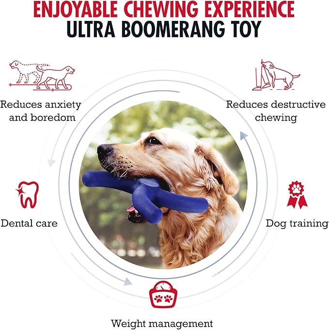 Tuff Pupper SuperChewy Tough Boomerang Toy | Lifetime Replacement | Strong Natural Rubber | Great Dog Fetch Toy | Toys for Dogs | Ultra Durable Chew Toys for Aggressive Chewers | for Large Breeds