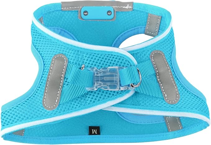 Light Up Dog Harness,Rechargeable LED Dog Harness for Small Medium Large Dogs,Reflective Lighted Safety Vest for Night Walking & Camping,Lightweight & Adjustable,Blue,M