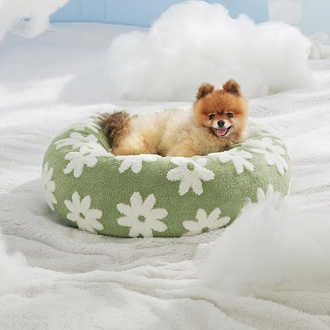LE SURE Donut Small Dog Bed - Round Cat Beds for Indoor Cats Calming Pet Beds, Cute Modern Beds with Jacquard Shaggy Plush & Anti Slip Bottom, 27 Inch, Green