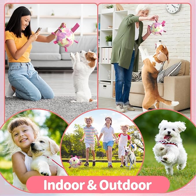 QDAN Premium Dog Toys Soccer Ball with Straps, Puppy Balls for Small Medium Dogs, Dog Water Toys Pool Toys, Puppy Dogs Pet Birthday Gifts, Rainbow(6 Inch)