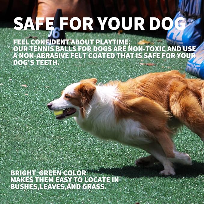 ALL FOR PAWS Dogs Ball Toy, 2" Dog Safety Balls Toy with High Bounce, Exercise and Play Interactive Dogs Tennis Balls Suitable for Ball Launchers