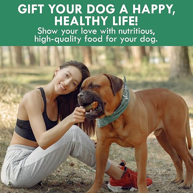 HOLISTIC BIN Canine Super Immune Support - Dog Multivitamins & Supplements with Beet, Chlorella, Mushroom Complex (Reishi, Maitake, Turkey Tail) - for Immune Function & Overall Health - 100g Powder